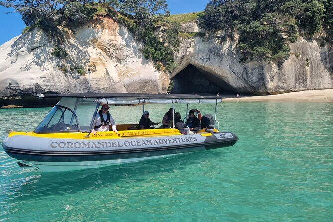 Cathedral Cove 2 Hour Guided Tour Explore Marine Wonders - Key Points