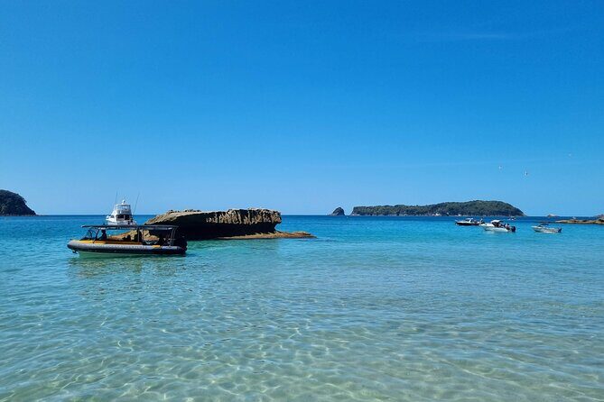 Cathedral Cove 2 Hour Guided Tour Explore Marine Wonders - The Experience in Detail