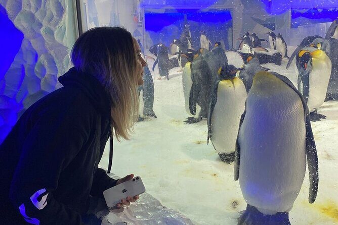 Cathedral Cove and Hot Water Beach Private Tour - FAQ