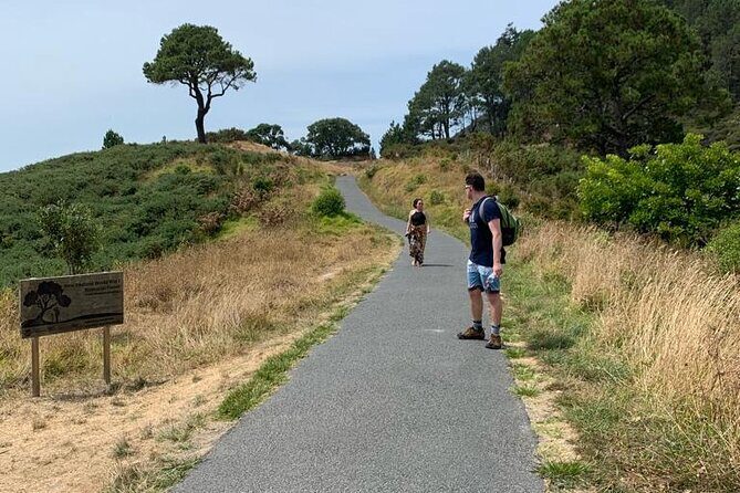 Cathedral Cove and Hot Water Beach Scenic Day Tour from Auckland - The Practicalities