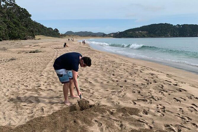 Cathedral Cove and Hot Water Beach Scenic Day Tour from Auckland - The Sum Up