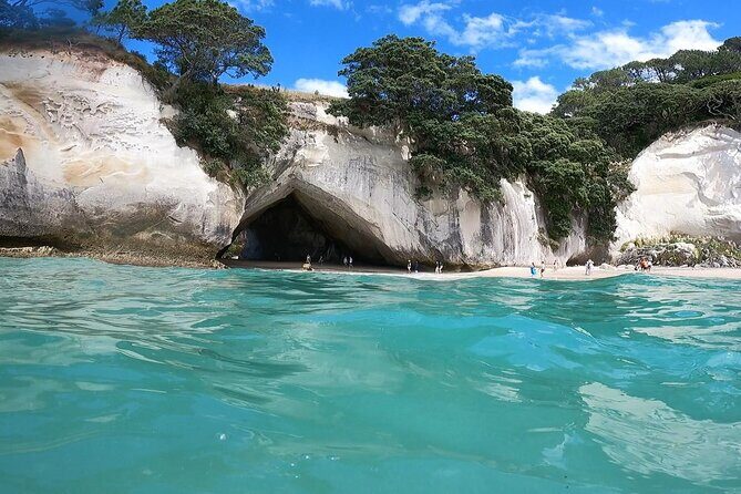 Cathedral Cove & Coromandel, Small-Group Tour from Auckland - Who Is This Tour Best For?