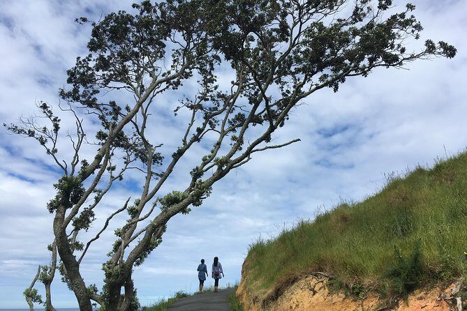 Cathedral Cove Day Trip from Auckland - The Starting Point and Transport