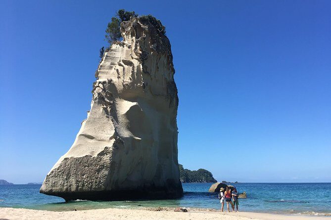 Cathedral Cove Day Trip from Auckland - The Iconic Cathedral Cove