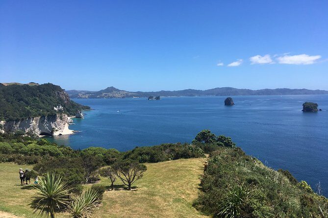 Cathedral Cove Day Trip from Auckland - Relaxing at Hot Water Beach and Additional Highlights