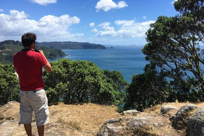 Cathedral Cove Day Trip from Auckland - Who Will Love This Tour?