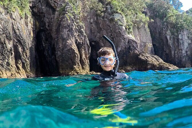Cathedral Cove Dive & Snorkel- Marine Reserve specialised trips - Authentic Reviews and What They Tell Us
