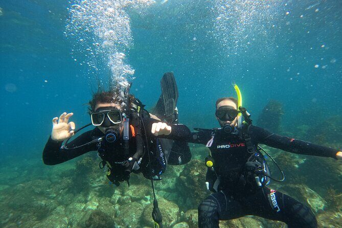 Cathedral Cove Dive & Snorkel- Marine Reserve specialised trips - FAQs