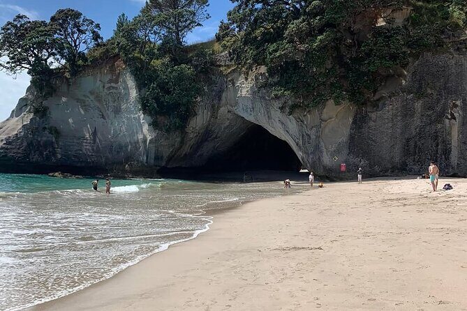 Cathedral Cove & Hot water beach -Full Day Tour: PRIVATE TOUR - An In-Depth Look at the Tour Experience
