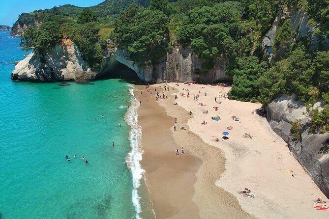 Cathedral Cove & Hot water beach -Full Day Tour: PRIVATE TOUR - The Sum Up