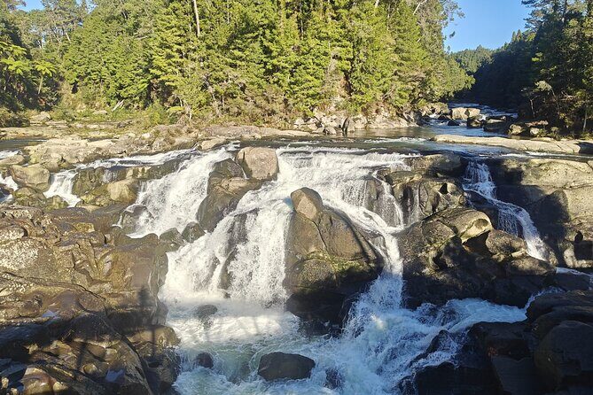 Cathedral Cove & Hot Water Beach with Lunch from Auckland - The Sum Up