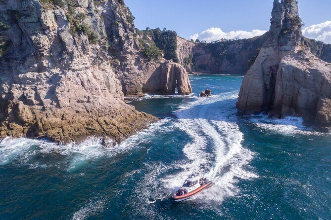 Cathedral Cove Scenic Cruises Whitianga - Key Points