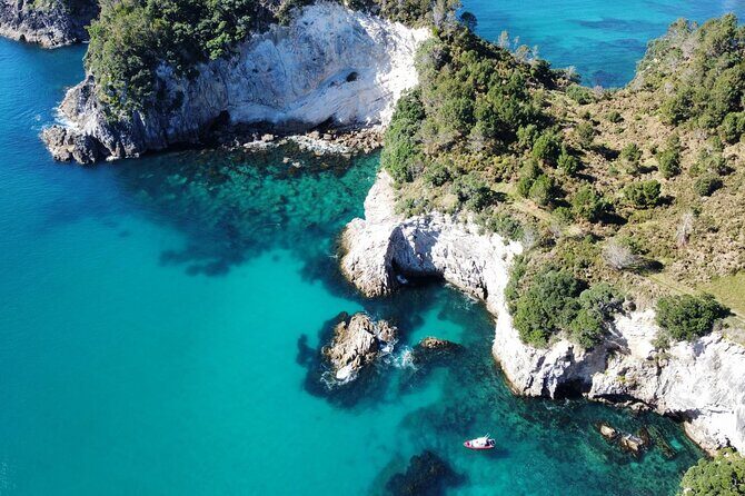 Cathedral Cove Scenic Cruises Whitianga - A Closer Look at the Experience