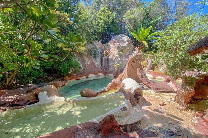 Cathedral Cove with the Lost Spring Hidden Spa - What Makes This Tour Stand Out?