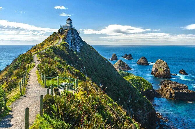 Catlins Cruiser Private Tour from Dunedin Cruise Port - A Closer Look at the Itinerary