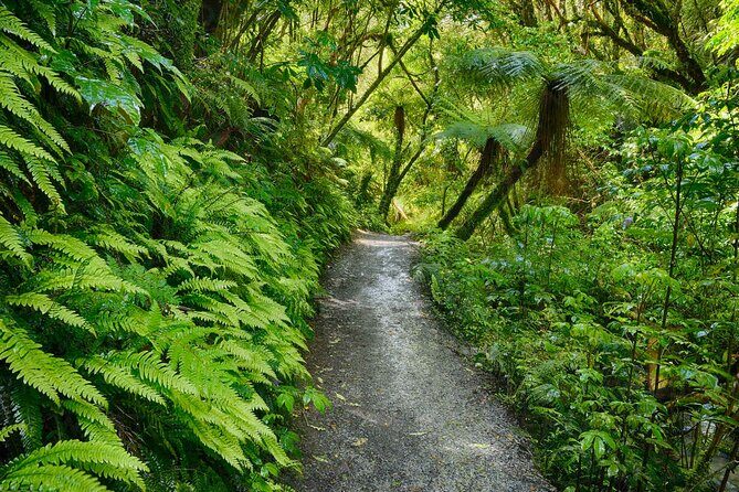 Catlins Cruiser Private Tour from Dunedin Cruise Port - Who Should Consider This Tour?