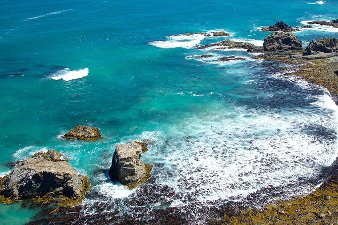 Catlins Cruiser Private Tour from Dunedin Cruise Port - Final Thoughts