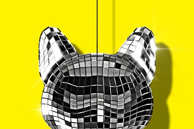 CATS: The Jellicle Ball on Broadway Ticket - Final Thoughts