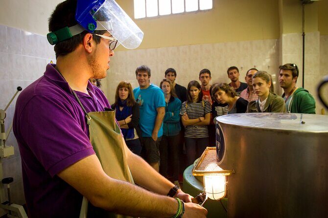 Cava Making Experience at the Local Winery in Barcelona - Key Points