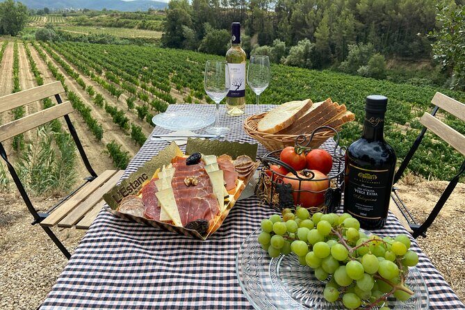 Cava tour to 3 family wineries with hotel pick-up - Final Thoughts: Who Will Love This Tour?