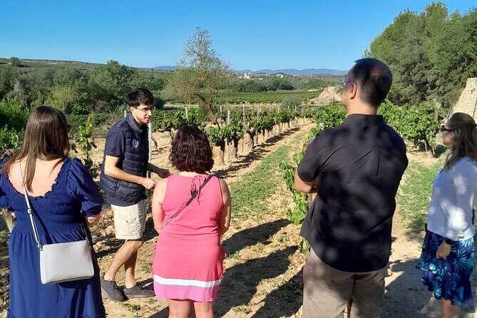 Cava tour to 3 family wineries with hotel pick-up - FAQ