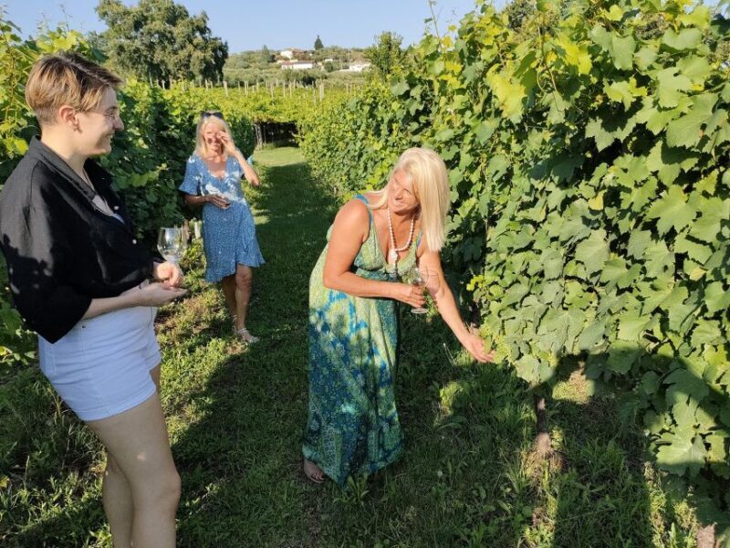 Cavaion: Lake Garda Wine & Food Tasting with Vineyard Tour - An In-Depth Look at the Vineyard & Tasting Experience