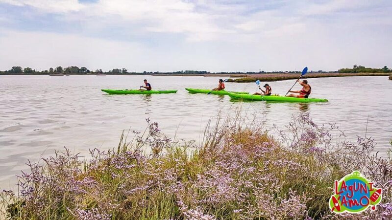 Cavallino-Treporti: Short Kayak Tour in the Venetian Lagoon - The Experience: A Deep Dive into the Lagoon’s Natural Charm