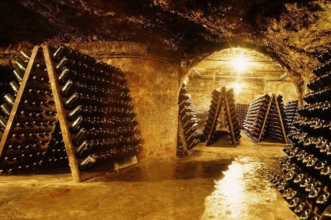 Cavas Freixenet Wine Tour from Mexico City - Exploring the Cavas Freixenet Wine Tour from Mexico City