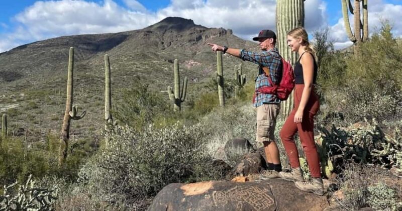 Cave Creek: Private Guided Sonoran Desert Hiking Tour - Key Points