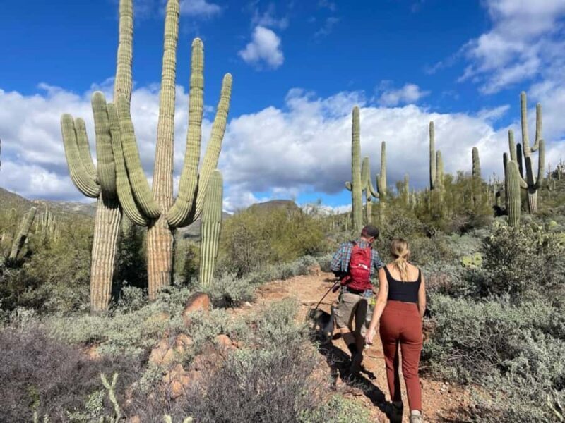 Cave Creek: Private Guided Sonoran Desert Hiking Tour - Who Should Consider This Tour?