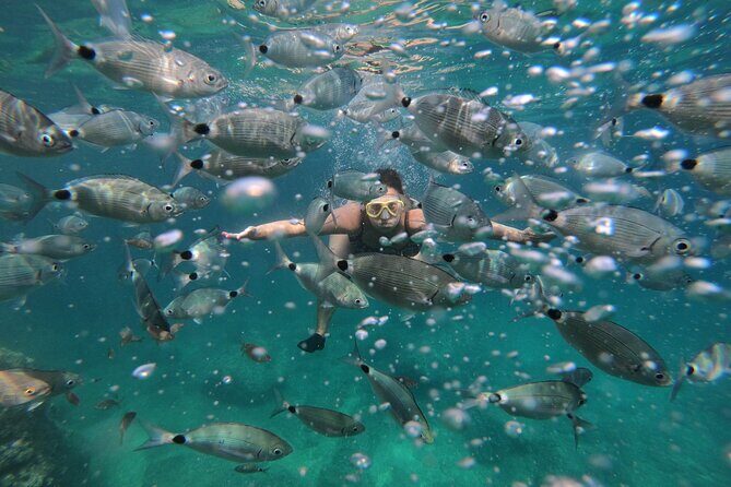 Cave exploring by kayak - An In-Depth Look at the Kayak Cave Tour
