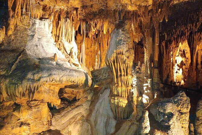 Cave Tour and Dino Trail on a Crystal Cave Adventure - Overview of the Experience