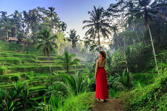 Cave Tubing Adventure & Rice terrace - Who Should Book This Tour?