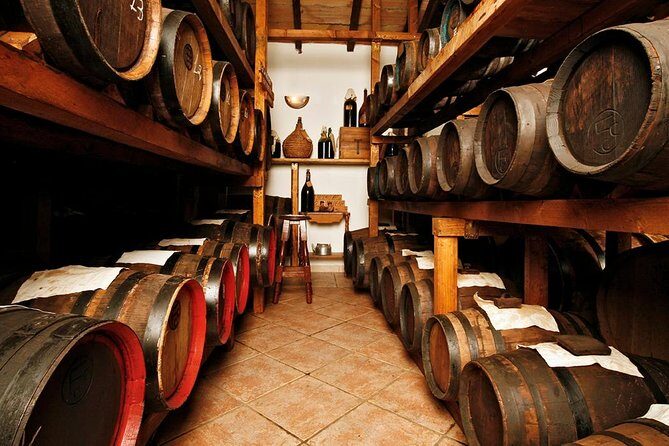 Cavedoni Balsamic Vinegar Tour: The Oldest in Modena - A Deep Dive into Modena’s Balsamic Heritage: The Cavedoni Balsamic Vinegar Tour
