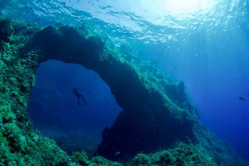 Cavern & Coves Argentario Half Day Snorkeling Tour - The Sum Up