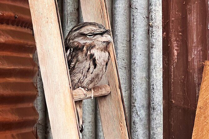 Caversham Wildlife and Swan Valley Private Tour - What Do the Reviews Say?