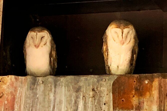 Caversham Wildlife and Swan Valley Private Tour - FAQ