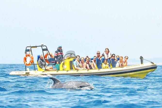 Caves and Dolphin Watching Cruise from Albufeira - The Value: Is It Worth the Price?