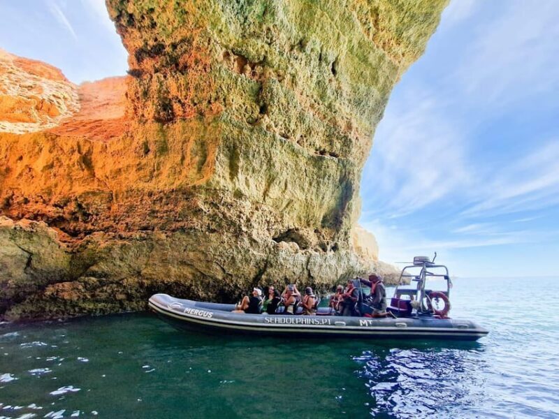 Caves & Dolphins - Combined Trip - Why This Tour Stands Out