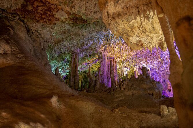 Caves Drach Boat Trip from Alcudia with Return Bus and Tickets - Who Would Love This Tour?