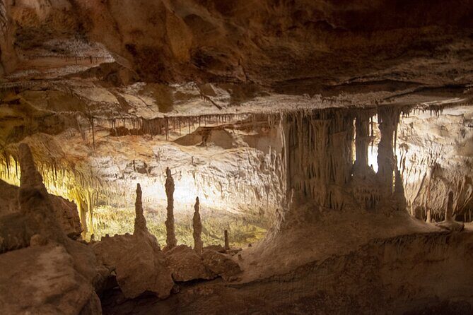 Caves Drach Boat Trip from Alcudia with Return Bus and Tickets - FAQs