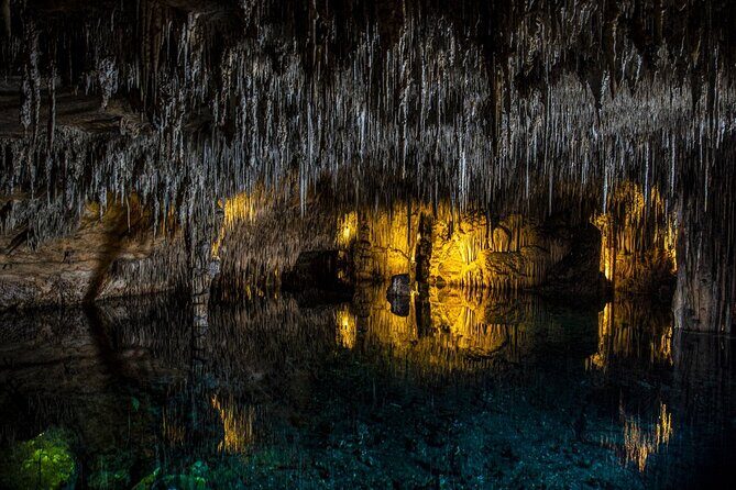 Caves Drach Tour & Return Transfer from Cala Dor-Calas Mallorca - An In-Depth Look at the Caves Drach Tour