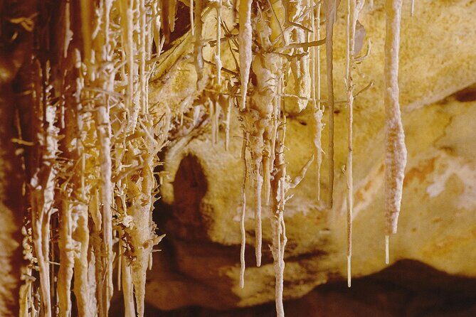 Caves Drach Tour & Return Transfer from Cala Dor-Calas Mallorca - Frequently Asked Questions