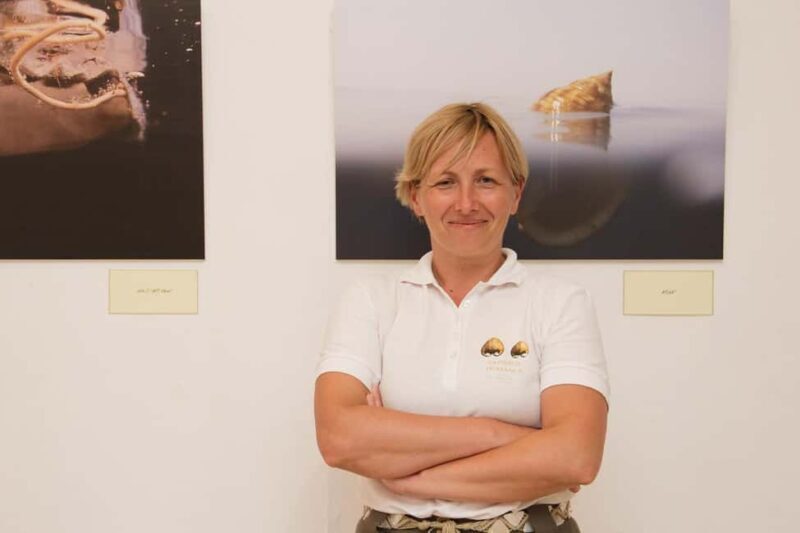 Cavtat: Shell Museum Private Guided Tour - A Detailed Look at the Cavtat Shell Museum Guided Tour