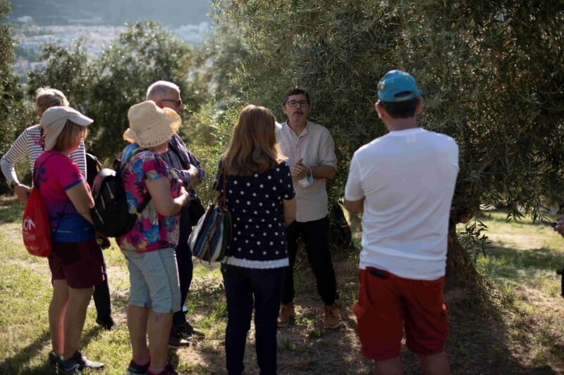 Cazorla: Olive grove and mill tour - Final Thoughts: Is It Worth It?