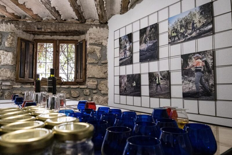 Cazorla: Olive oil tasting - What the Tour Offers