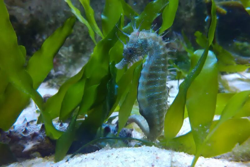 CCVAlgarve Individual Ticket - Dive Into the Experience: What to Expect at the Algarve Science Center