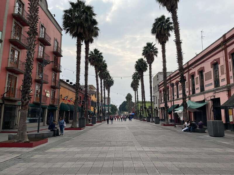 CDMX: Garibaldi Copa Show - A Complete Exploration of the Garibaldi Copa Show