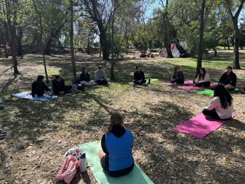 CDMX: Nature Therapy Guided Session - Key Points