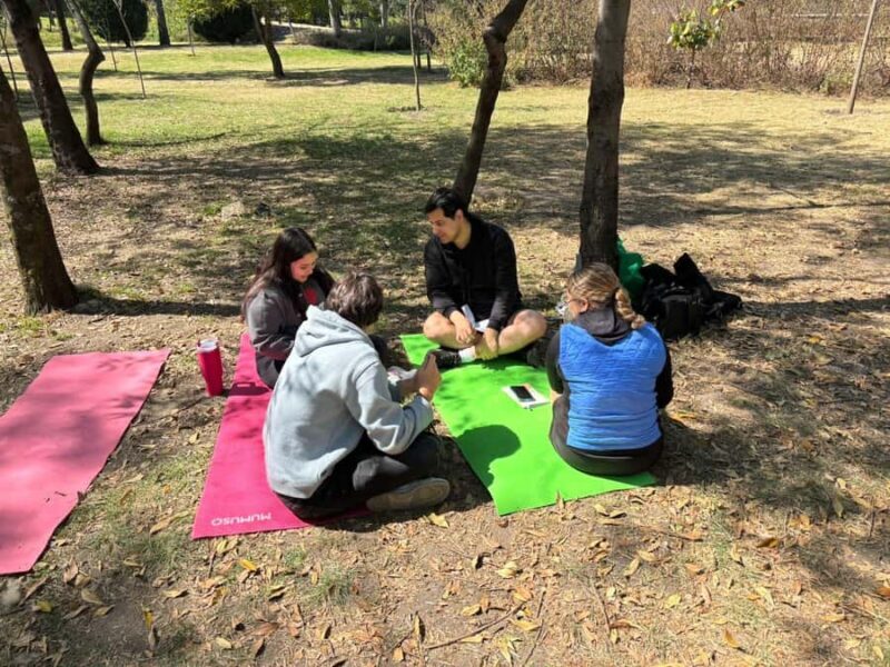 CDMX: Nature Therapy Guided Session - An Introduction to Nature Therapy in Mexico City